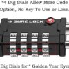 519WOIXz6RL._AC_.jpg SURE LOCK TSA Accepted Heavy Duty Big Combination Luggage Padlock for Gun Cases, Transporting Equipment Cases in Trade Show, Music and Medical Industries (2, Black)